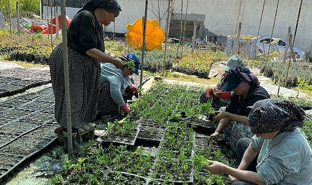 Cadde ve Sokaklar Kadınların Emekleri İle Renklenecek