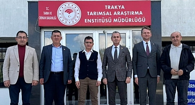 Don ve Kar Yağışı Buğday ve Ayçiçeğini Nasıl Etkiledi?