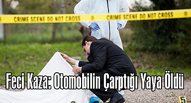 Feci Kaza: Otomobilin Çarptığı Yaya Öldü