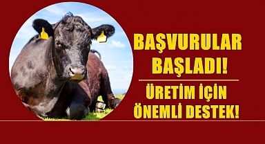 Hayvancıları Yakından İlgilendiren Destek İçin Başvuru Başlıyor!