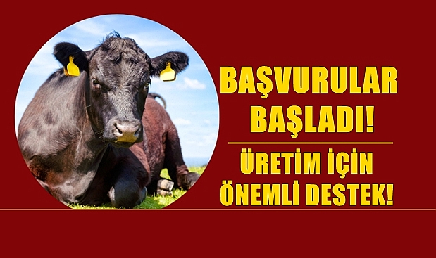 Hayvancıları Yakından İlgilendiren Destek İçin Başvuru Başlıyor!