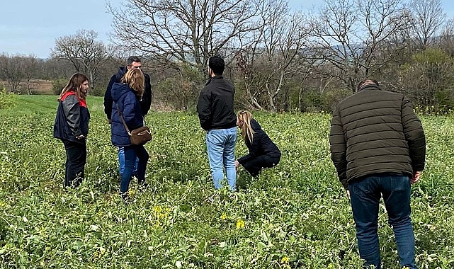Kırklareli’nde Don Afeti Sonrası Hasar Tespit Çalışmaları Başladı
