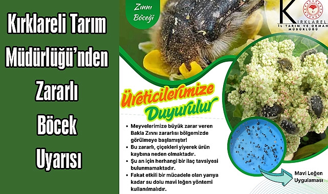 Kırklareli Tarım Müdürlüğü’nden Zararlı Böcek Uyarısı