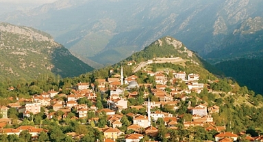 Orman Köylülerine Müjde!