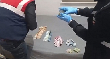 Şok Operasyon; 33 Gümrük Muhafaza Memuru Gözaltına Alındı