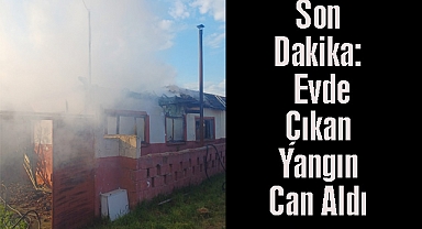 Son Dakika: Evde Çıkan Yangın Can Aldı