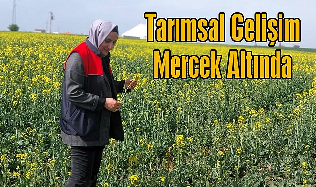 Tarımsal Gelişim Mercek Altında