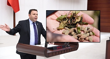 Vekil Ün’den Bakan Yumaklı’ya Don Afeti İle İlgili Soru Önergesi