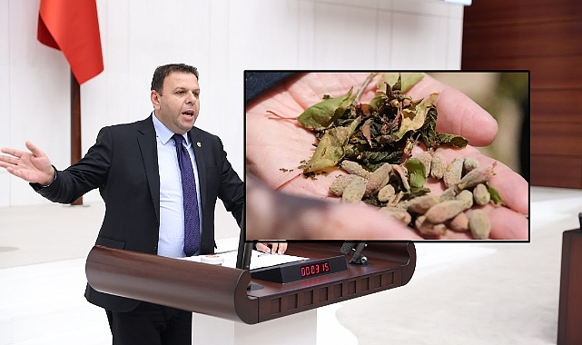 Vekil Ün’den Bakan Yumaklı’ya Don Afeti İle İlgili Soru Önergesi