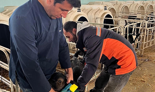 Vize'de Hayvancılık Kayıtları Güçleniyor