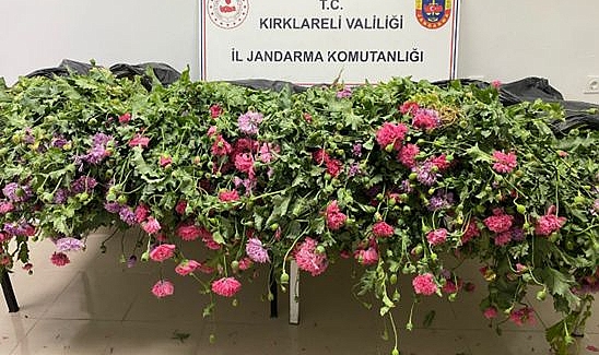 Kırklareli’nde Jandarmadan Kaçakçılık ve Uyuşturucuya Darbe