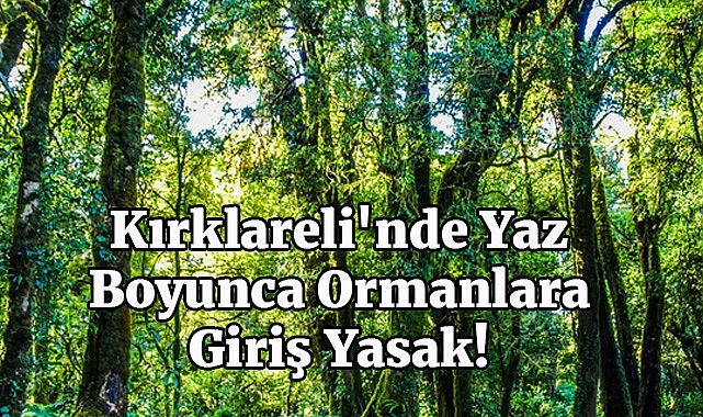 Kırklareli'nde Yaz Boyunca Ormanlara Giriş Yasak!
