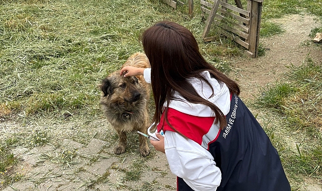 Köylerdeki Sahipli Köpeklere Aşı ve Mikroçip Uygulaması Yapıldı