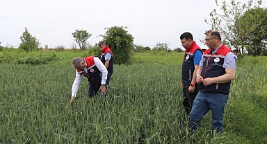 SON DAKİKA; Dolu Yağışı Çiftçileri Kahretti!
