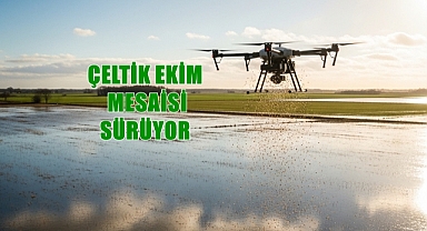 Uzunköprü'de Çeltik Ekim Mesaisi Sürüyor