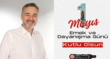 Vekil Sarıçam:
