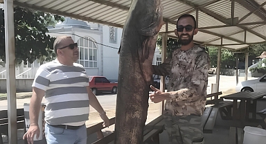 2 Metre Boyundaki ‘Meriç Canavarı’ Yakalandı