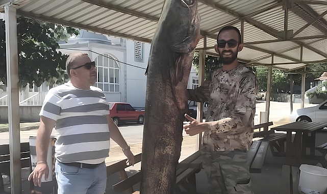 2 Metre Boyundaki ‘Meriç Canavarı’ Yakalandı