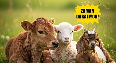 Destekten Yararlanmak İsteyen Üreticiler Dikkat; Zaman Daralıyor!