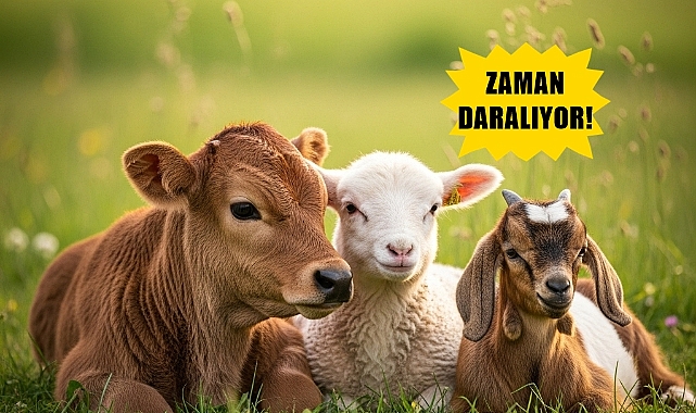 Destekten Yararlanmak İsteyen Üreticiler Dikkat; Zaman Daralıyor!
