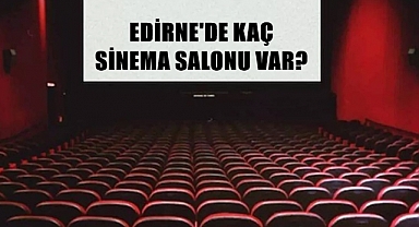 Edirne Sanatsal Faaliyetlerde Türkiye’de Kaçıncı Sırada?