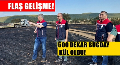 Hasat Öncesi Talihsiz Olay; 500 Dekar Buğday Kül Oldu!