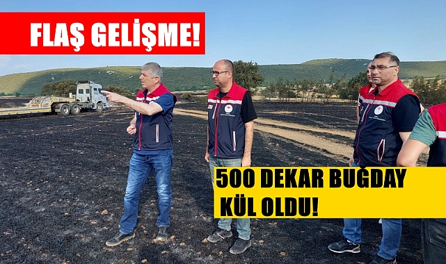 Hasat Öncesi Talihsiz Olay; 500 Dekar Buğday Kül Oldu!