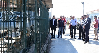 Hayvan Barınaklarının Koşulları Yerinde İncelendi