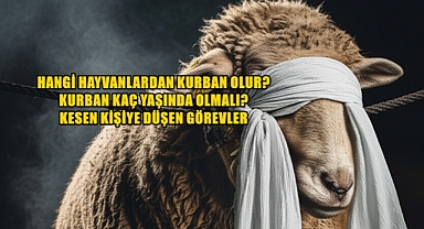 İslami Usullere Göre Kurban Kesimi Nasıl Olmalı? Önemli Noktalar ve Adabı