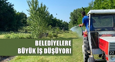 Kene Başta Olmak Üzere Haşere Popülâsyonunda Dikkat Çeken Artış!