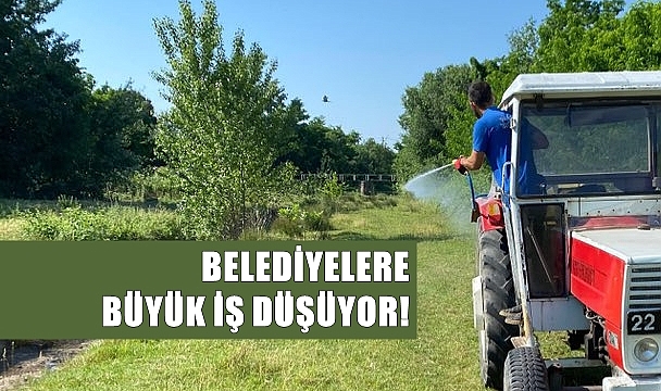 Kene Başta Olmak Üzere Haşere Popülâsyonunda Dikkat Çeken Artış!