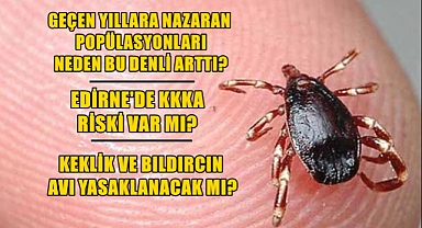 Kene Popülasyonu Arttı Vatandaşı Endişe Sardı!