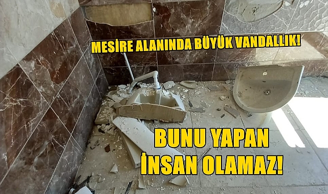 Klozet Lavabo Kapı Pencere… Ne Varsa Kırp Dökmüşler!