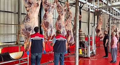 Kurban Kesim Yerlerinde Denetimler Bayram Boyunca Devam Etti