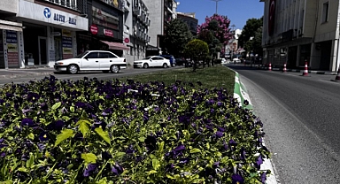 Şehirler Isınıyor, Doğa Daralıyor: Çözüm Parklarda mı?