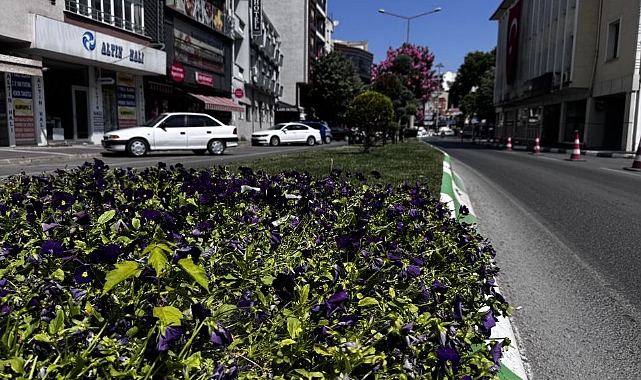 Şehirler Isınıyor, Doğa Daralıyor: Çözüm Parklarda mı?