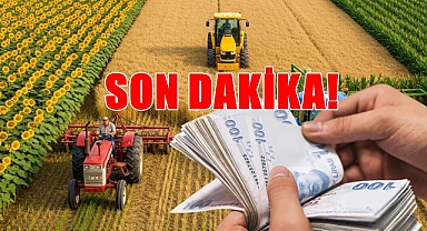 SON DAKİKA! Ayçiçeği ve Buğday Desteklemeleri Ödeniyor!