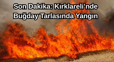 Son Dakika: Kırklareli’nde Buğday Tarlasında Yangın
