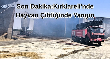 Son Dakika: Kırklareli'nde Hayvan Çiftliğinde Yangın