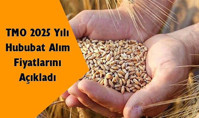 TMO 2025 Yılı Hububat Alım Fiyatlarını Açıkladı
