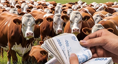 Üreticilerin Dört Gözle Beklediği Destek İcmalleri Askıda!