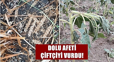 Uzunköprü’de Ekili Tarlaları Dolu Vurdu!