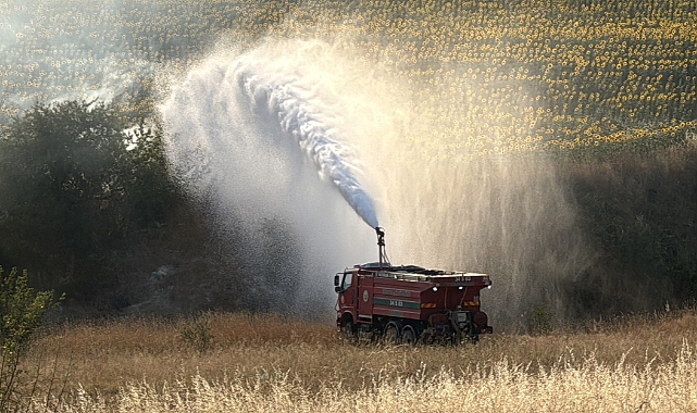 400 Dekar Tarım Alanı Yandı