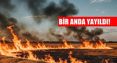 Anız Yangını Faciaya Sebep Oluyordu!