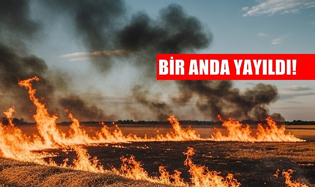 Anız Yangını Faciaya Sebep Oluyordu!