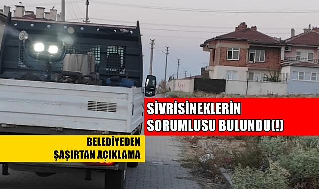 Belediyeden 'Sivrisinek Mücadelesi' İle İlgili Şaşırtan Açıklama