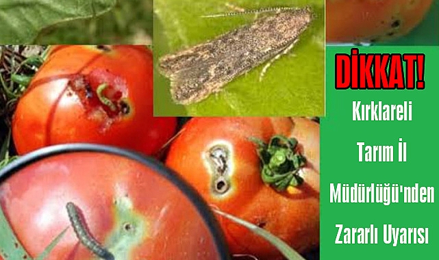 DİKKAT! Kırklareli Tarım İl Müdürlüğü'nden Zararlı Uyarısı
