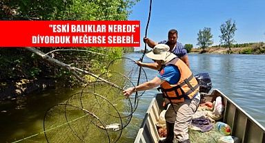 Edirne'de 'İstilacı' Türlere Yönelik Saha Çalışması Yapıldı