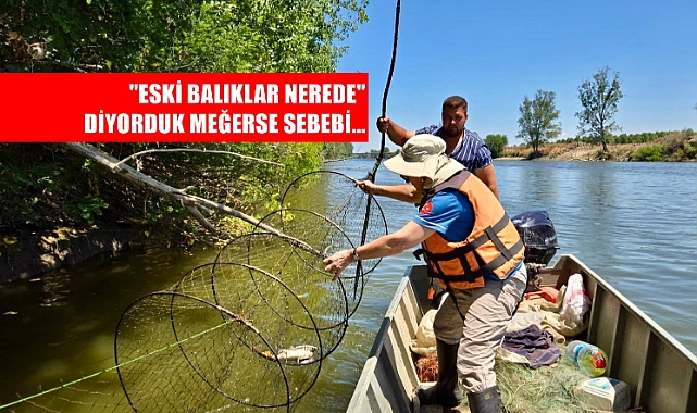 Edirne'de 'İstilacı' Türlere Yönelik Saha Çalışması Yapıldı