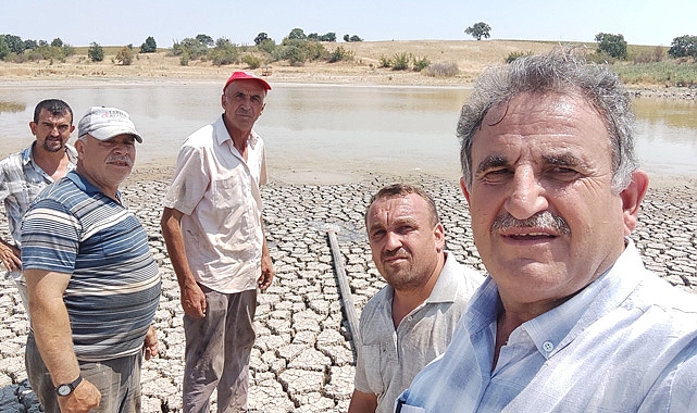İnece Belediyesi'nden Hayvanlara Hayat Veren Dokunuş